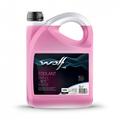 WOLF -36 COOLANT EVO LL -36°C