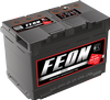 Аккумулятор  FEON