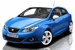 Seat Ibiza V 2009...